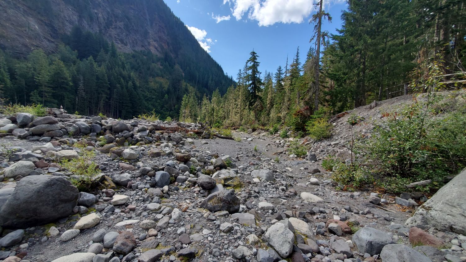 Mount Rainier NP 